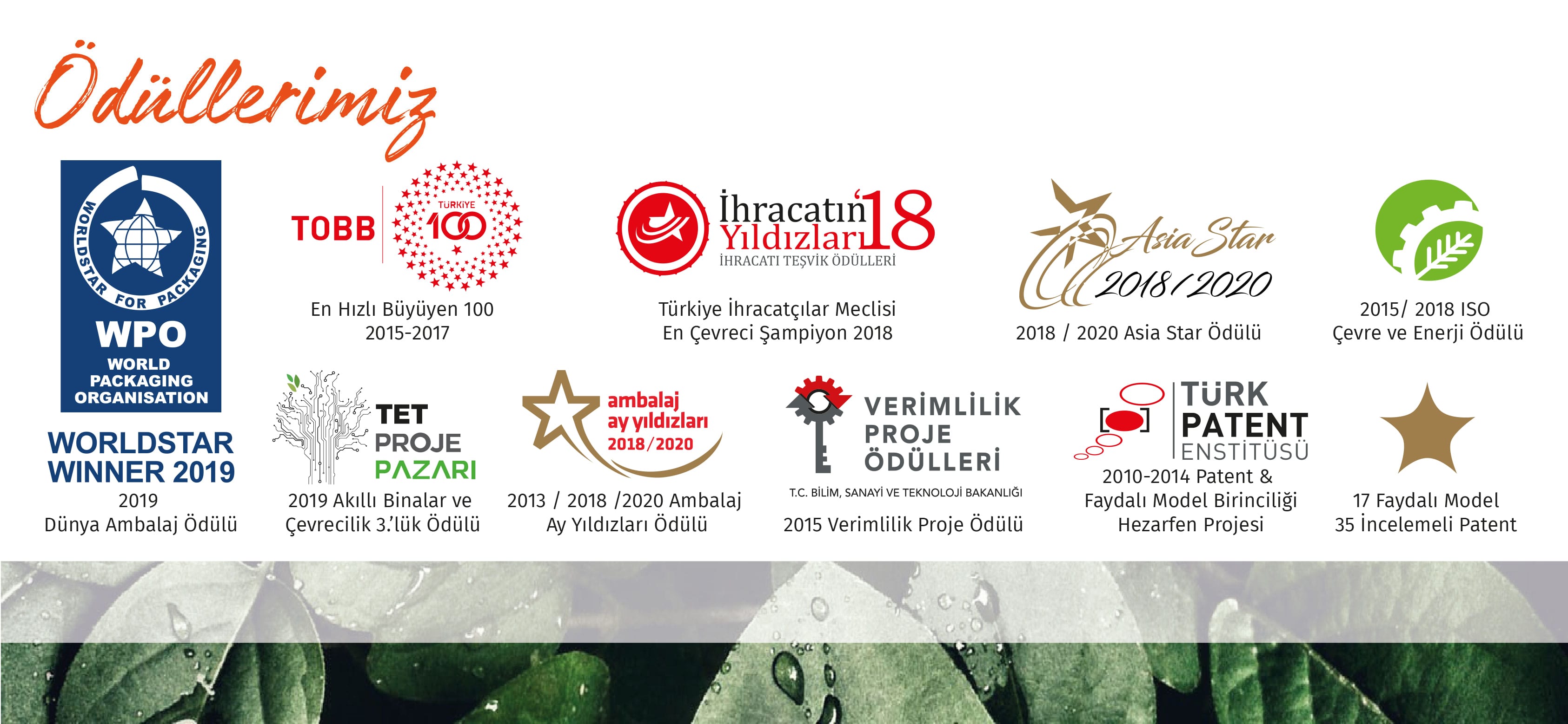 Netpak Bez Çanta Ödülleri Netpak Bez Çanta Ödülleri