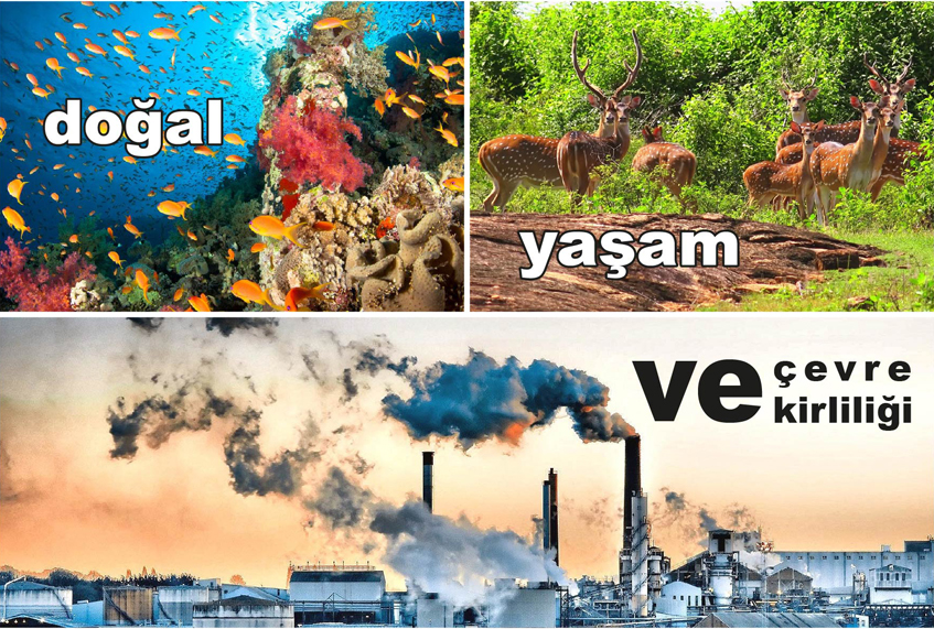 Doğal Yaşam ve Çevre Kirliliği