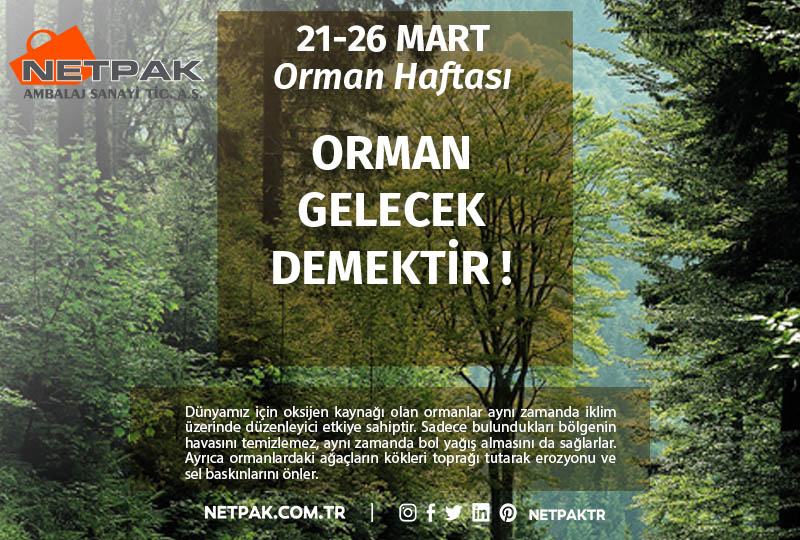  NETPAK AİLESİ OLARAK 21-26 MART ORMAN HAFTASINI KUTLUYORUZ.