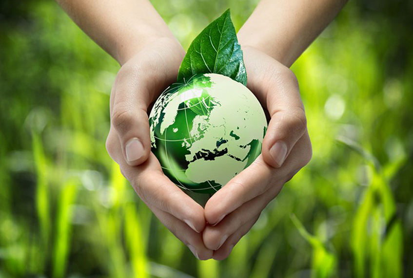 eco-friendly countries Eco-Friendly Countries, Preferring Recyclable Bags