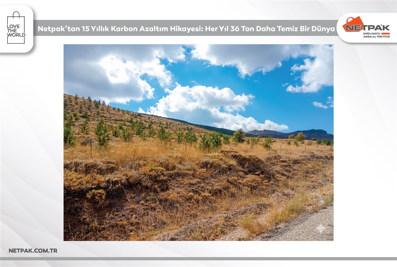 Netpak's 15-Year Carbon Reduction Story: A World 36 Tons Cleaner Every Year